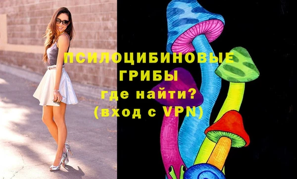 гидропоника Алексин