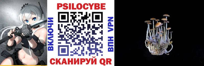 площадка состав  Морозовск  Галлюциногенные грибы мухоморы 