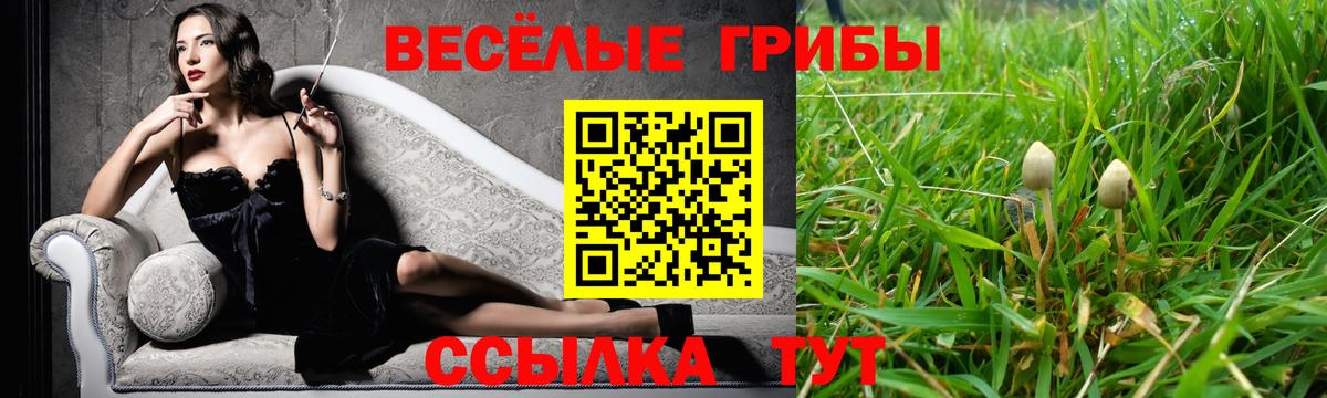 Галлюциногенные грибы Cubensis Морозовск