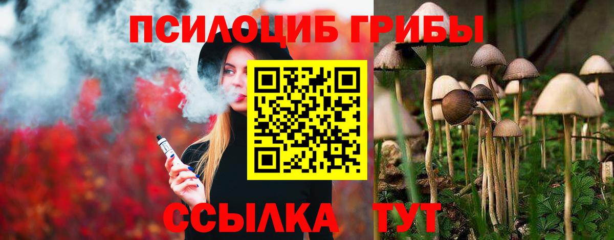 Галлюциногенные грибы мицелий  Галлюциногенные грибы прущие грибы  Вход с VPN  Морозовск 
